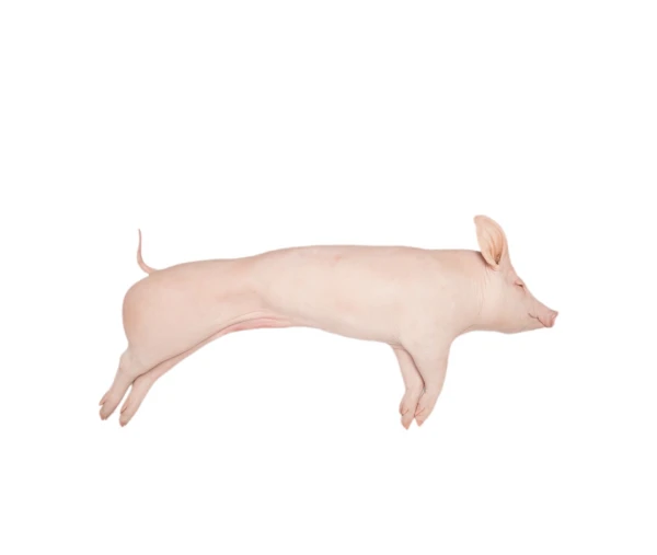 Cerdo entero's foto | Super Combos Jatibonico |  BizneCubano