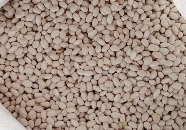 Frijoles blancos 3 lb's foto | Super Combos Jatibonico |  BizneCubano
